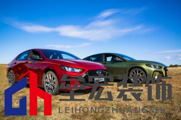 蘇神的夏日出游首選，中國影豹一路相伴