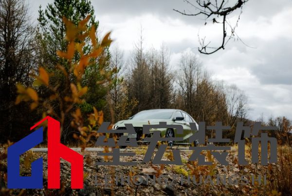 蘇神的夏日出游首選，中國影豹一路相伴