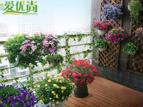 廈門陽臺裝修改造_廈門陽臺定制_陽臺改造大概費用