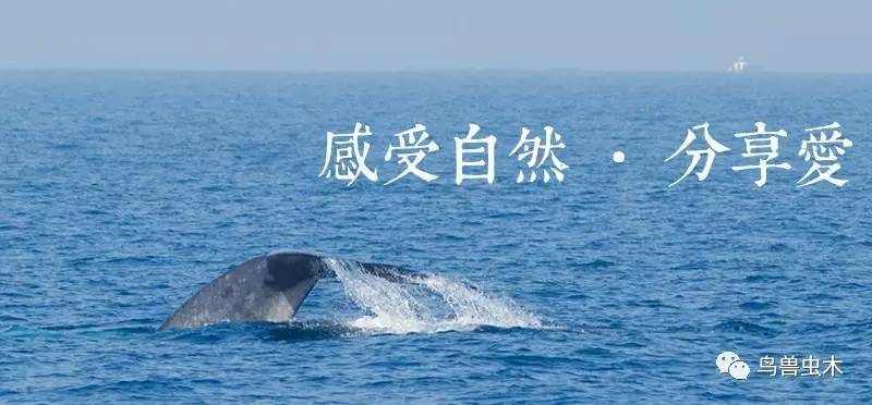 經(jīng)典詩(shī)文朗誦背景圖片__經(jīng)典詩(shī)文朗誦視頻