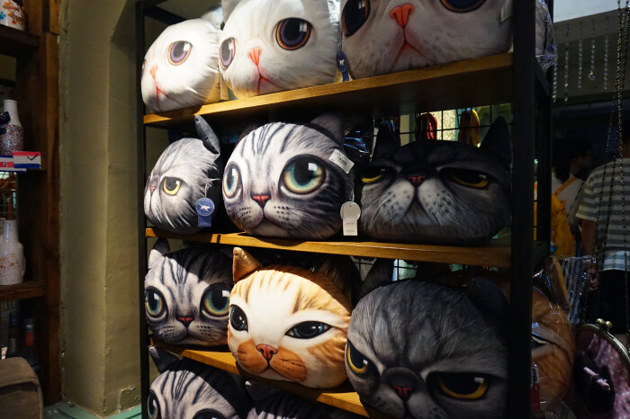 廈門家裝博覽會2023時間表_家裝博覽會2023_廈門家裝博覽會