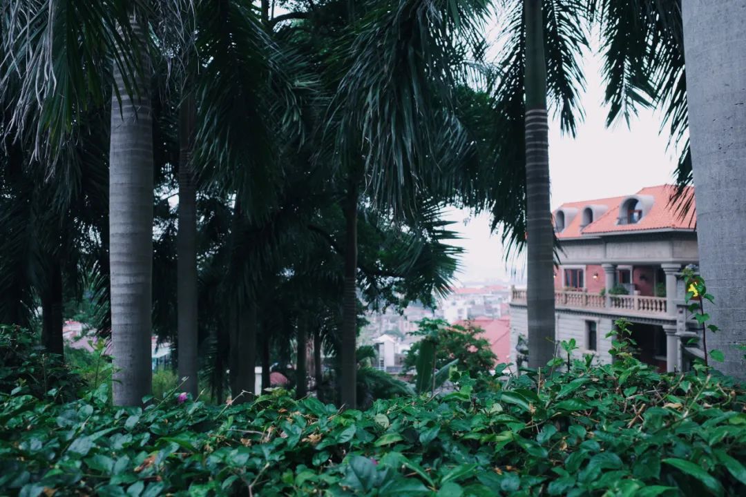 廈門十大裝修_廈門龍頭裝修_福州龍頭裝修