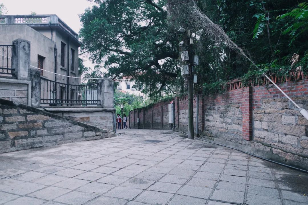 廈門十大裝修_廈門龍頭裝修_福州龍頭裝修