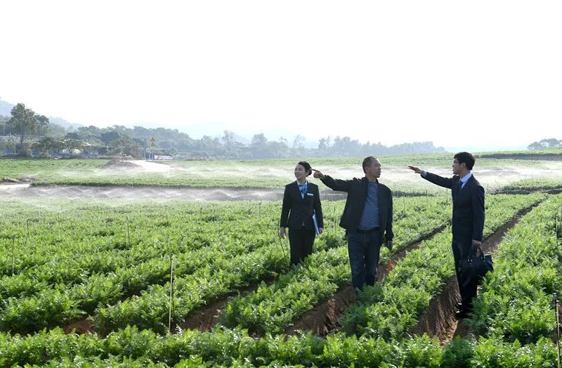 廈門農(nóng)行裝修貸_廈門農(nóng)行裝修貸款利率_廈門貸裝修農(nóng)行能貸嗎
