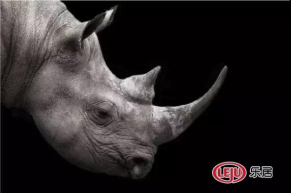 廈門裝修垃圾清運(yùn)_廈門裝修垃圾傾倒點_廈門裝修建筑垃圾怎么處理