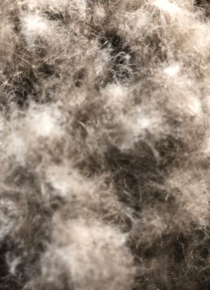 寒冬將至，冰島雁鴨絨供不應(yīng)求年產(chǎn)量僅3000公斤，King Eider冰島雁鴨絨珍奢床品帶來溫暖好眠