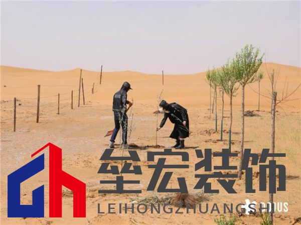 DOJUS 度假式家私：重構(gòu)家居消費(fèi)場景，定義“日常，就度假”的美學(xué)革命